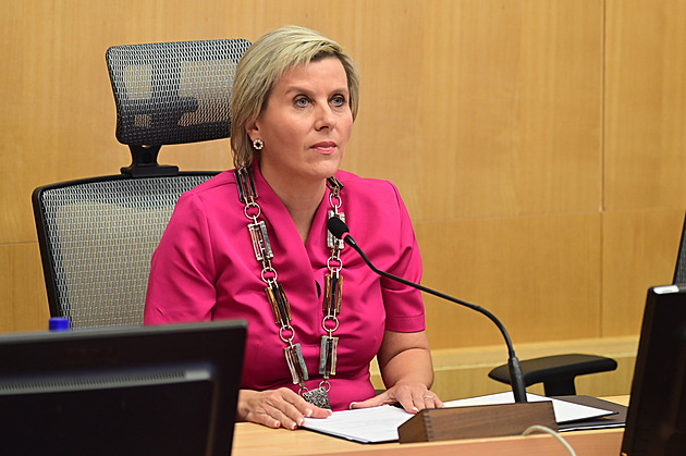 Byla jsem terčem telefonického podvodu, svěřila se hejtmanka Vildumetzová