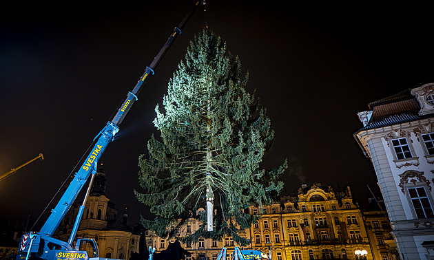 Na Staroměstském náměstí přes noc vztyčili vánoční strom. Rozsvítí ho v sobotu