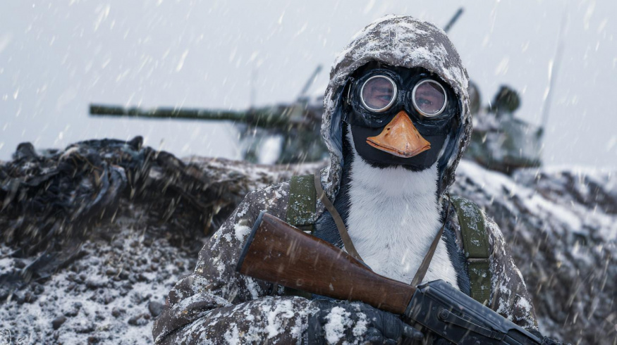 Rusové se na frontě převlékají za tučňáky. Jsou díky tomu ještě více na ráně