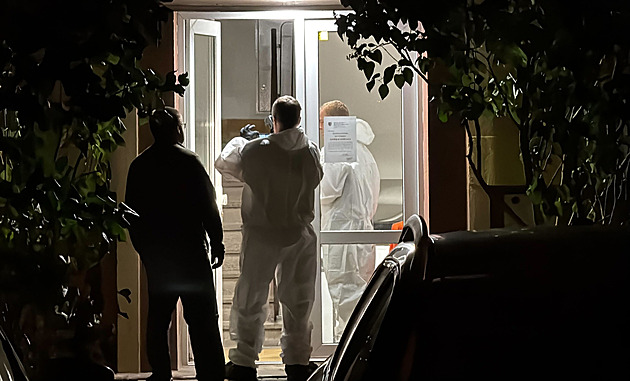 Schizofrenika soudí za vraždu bezmocné seniorky, brala ho jako vlastního vnuka