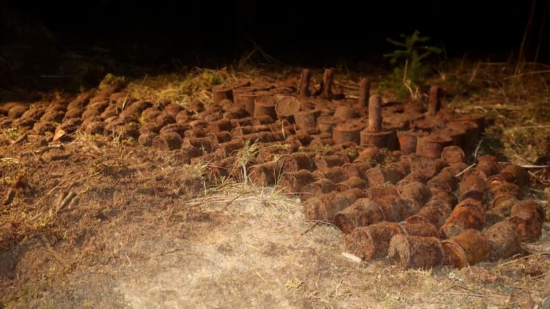 Pes v lese u Albrechtic vyhrabal granát. Pod zemí jich byly stovky, zasahovali pyrotechnici