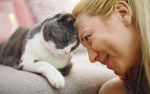 Náklonnost kočky je dar. Na co pozor, abyste její důvěru neztratili, radí expertka