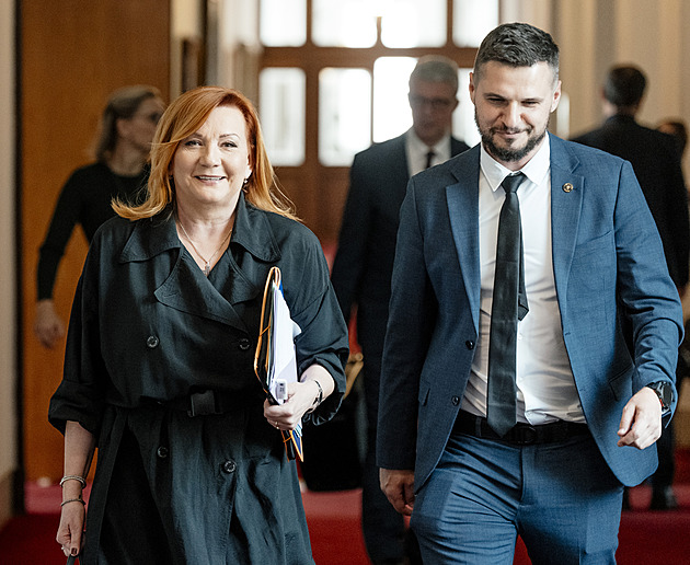 Vládu může opět řešit otázku cen pohonných hmot, regulace platí do čtvrtka