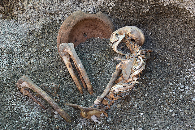 Svědectví o zoufalé snaze utéct z hořících Pompejí. Našly se nové kostry