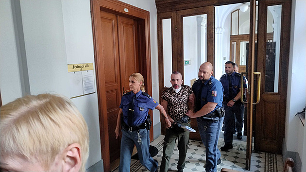 Soud rozhodl o předání extremistky Liebichové do Německa