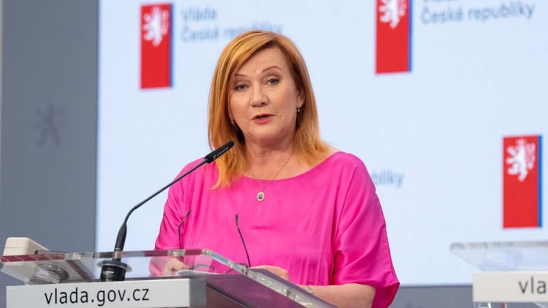 Růžová kalkulka: Schillerová se pochlubila videem a kopla si do ODS. Schytala výsměch
