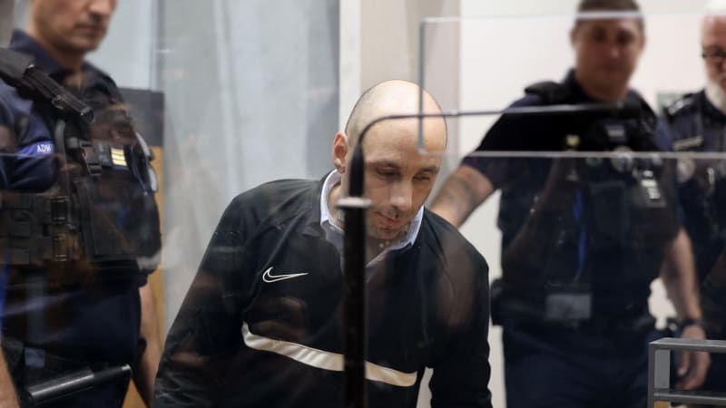 Zvrat v případu vraždy Delphine Jubillarové: Manžel se po letech přiznal, tělo ukryl v hnoji