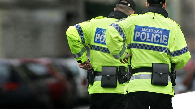 Muž bez řidičáku ujížděl policii. Vjel na cyklostezku, hledají se svědci